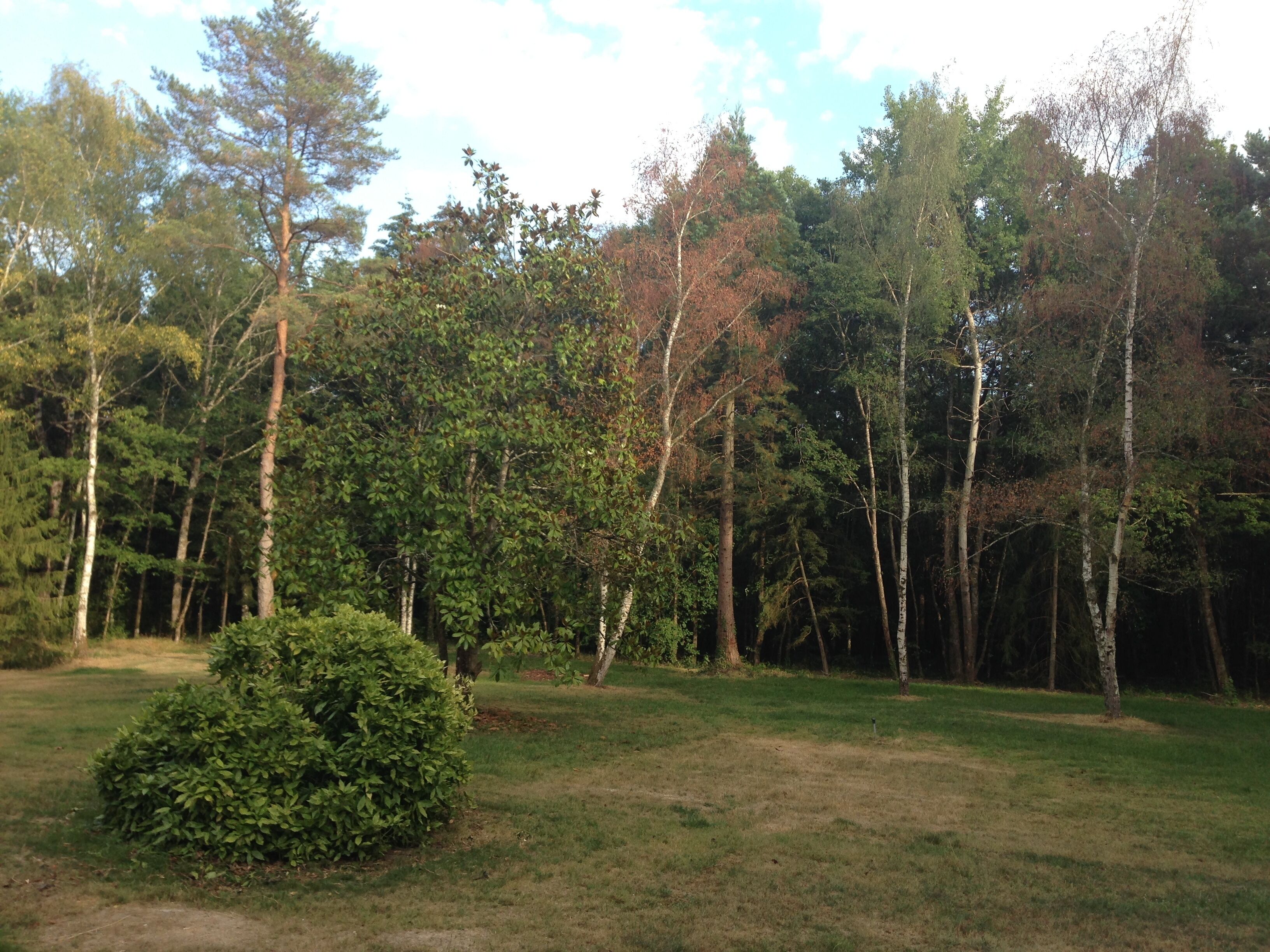 Studio in a park near Chambord
