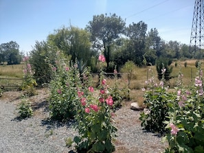 Property grounds - Quiet 2 bedroom cottage close to nature (Cabariot)