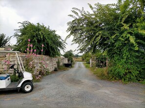 A gravel road flanked by stone walls and lush greenery.