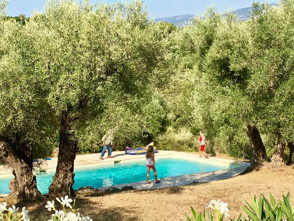Outdoor pool, a heated pool - Large family home, air-conditioned, lovely private pool, relaxing on the Côte d'Azur (Tourrettes-Sur-Loup)