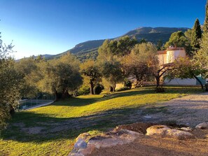 Property grounds - Large family home, air-conditioned, lovely private pool, relaxing on the Côte d'Azur (Tourrettes-Sur-Loup)