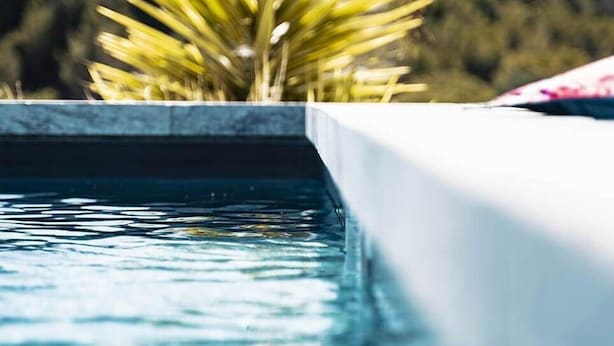 Une piscine avec une plante au premier plan et un paysage naturel flou en arrière-plan.