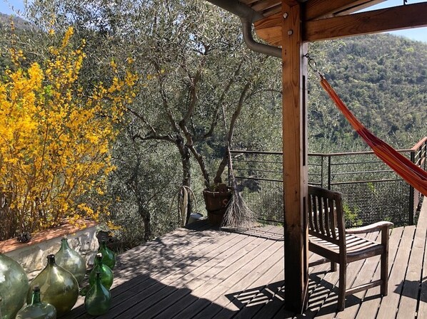 A wooden deck with a bench, a hammock, and potted plants.