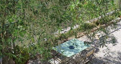 Le luxe Ă  deux pas de la cĂŽte  d'azur : Maison en pleine nature avec piscine