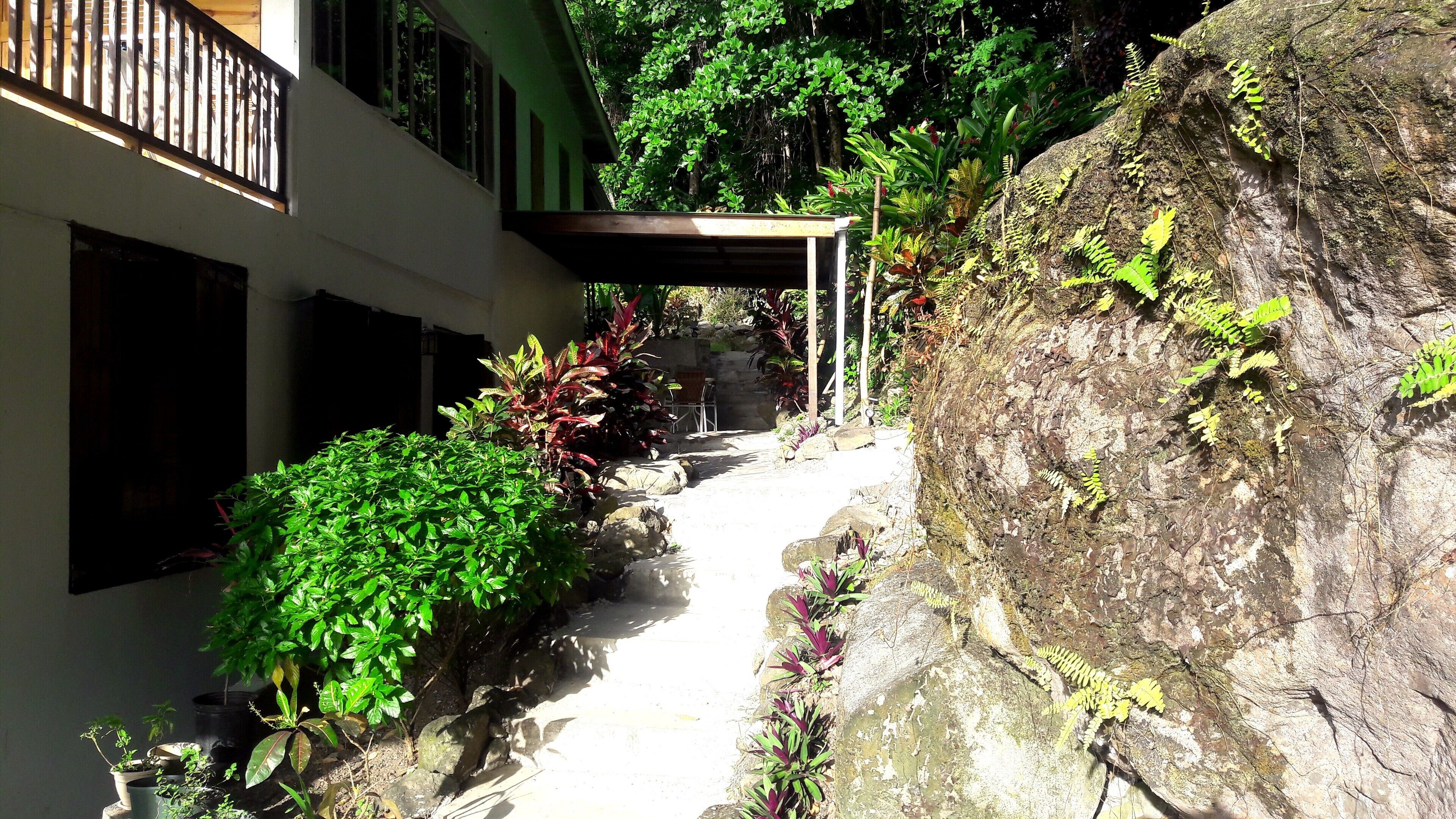 10 Best LongTerm Rentals In Dominica Updated 2024 Trip101