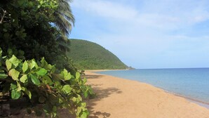 A beach with clear blue water, a sandy shore, and a green hill in the background.