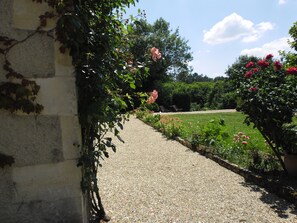 Terrain de l’hébergement 