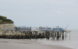 Guests can enjoy a serene waterfront setting with a pier extending into the calm bay, surrounded by a sandy beach and lush vegetation.