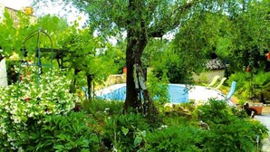 A garden with a pool, potted plants, and a tree. - MY LIFE Fayence Land of Flight (FAYENCE)