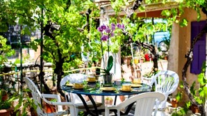 A round glass table with white chairs, surrounded by potted plants and a purple orchid. - MY LIFE Fayence Land of Flight (FAYENCE)