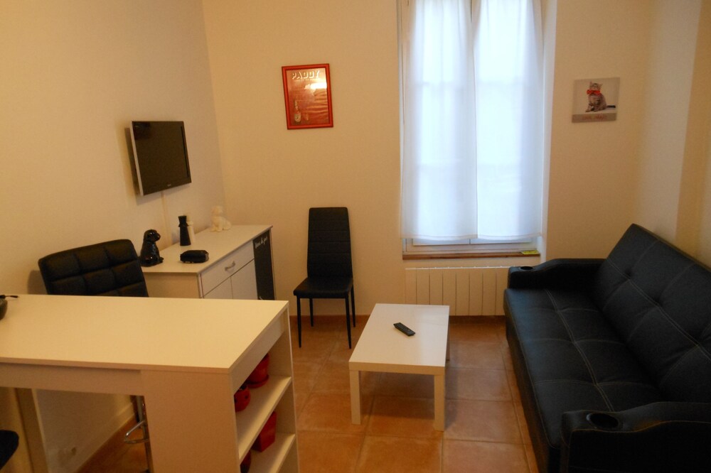 F1 furnished downtown near Fontainebleau Buthiers ...