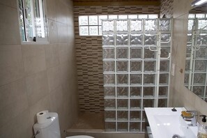 Shower, bidet, towels, toilet paper