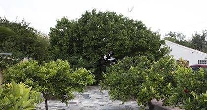 Beautiful renovated villa with private pool on a 1000 mÂČ plot, very quiet.