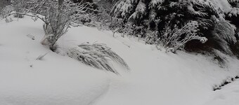 Maison de Lili 2 - In the middle of nature