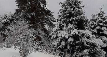 Maison de Lili 2 - In the middle of nature