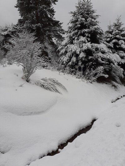 Maison de Lili 2 - In the middle of nature