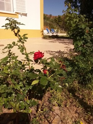 Overnattingsstedets uteområder