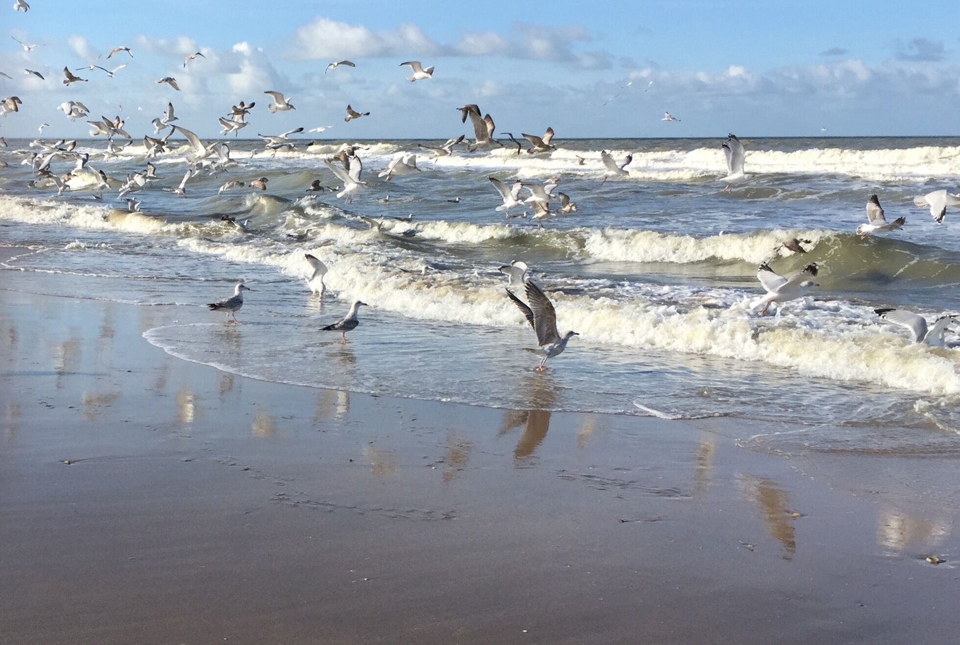 Strand