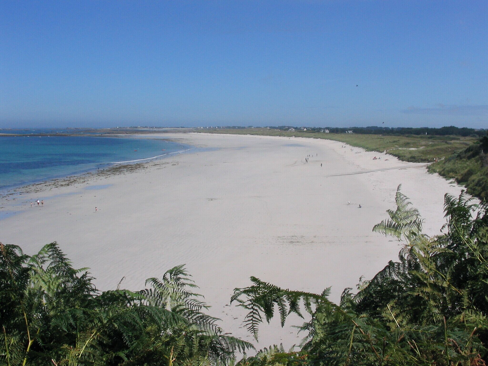 Playa en los alrededores 