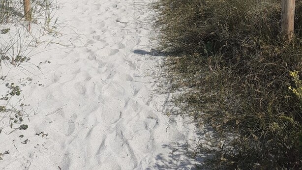 Strand