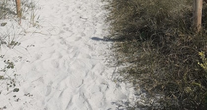 Petit nid au creux des dunes les dunes - 200 m de la mer
