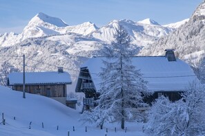 Exterior - Prestige rental near Megève with personalized services. Charm, relaxation. (Praz-sur-Arly)