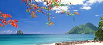 "NEW" Den 222, vakre Duplex T4 DIAMOND