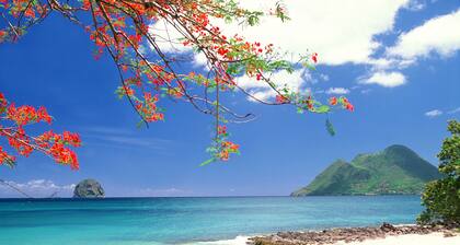 Le 222***, superbe Duplex T4, résidence avec piscine, plage, restaurants à 500m