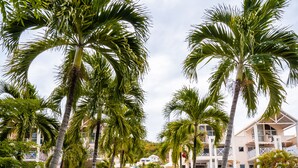 Un chemin bordé de palmiers menant à un bâtiment doté de nombreux balcons et d’un espace piscine.