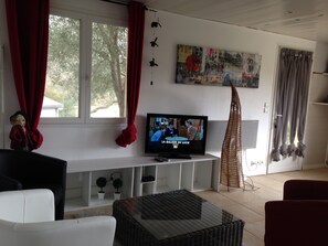 Televisión, reproductor de DVD, libros y estéreo 