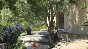 Un jardin avec un sentier en pierre, un arbre et diverses plantes.