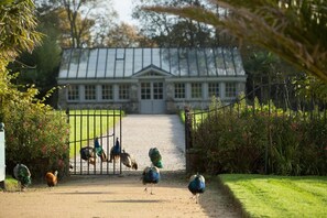 Property grounds - House located in the park of the castle of Pont-Rilly in Negreville Manche (Negreville)