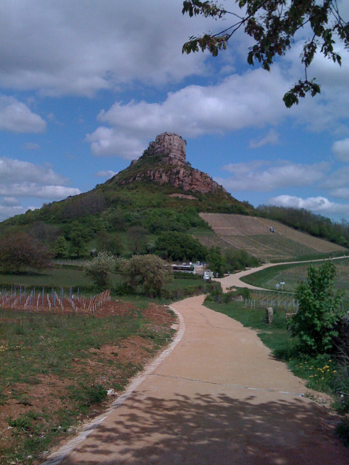 Un sentier pavé mène à un sommet de colline rocheuse, entouré de verdure et surplombé d’un ciel dégagé.