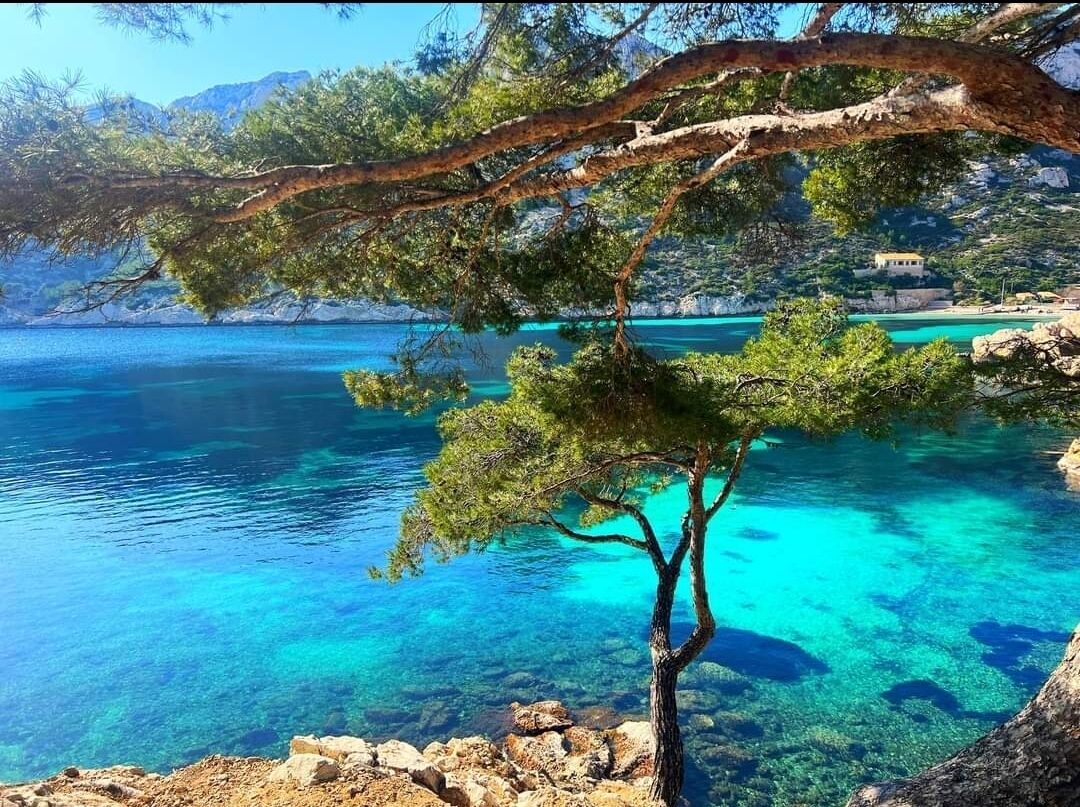 Holidays in a beautiful Villa close to blackcurrant 5 mm of the 8 beaches of the ciotat