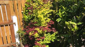 Details aan de buitenkant