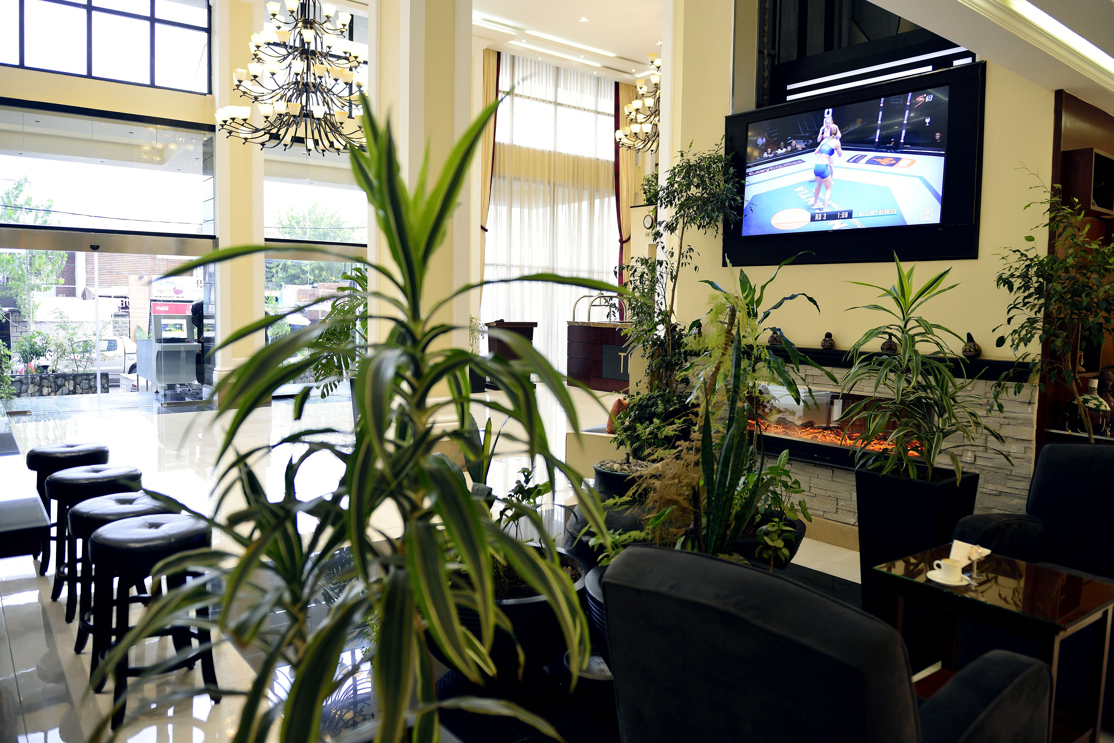 Un vestíbulo moderno con una televisión grande que muestra un evento deportivo, plantas en macetas y una zona de estar con taburetes.