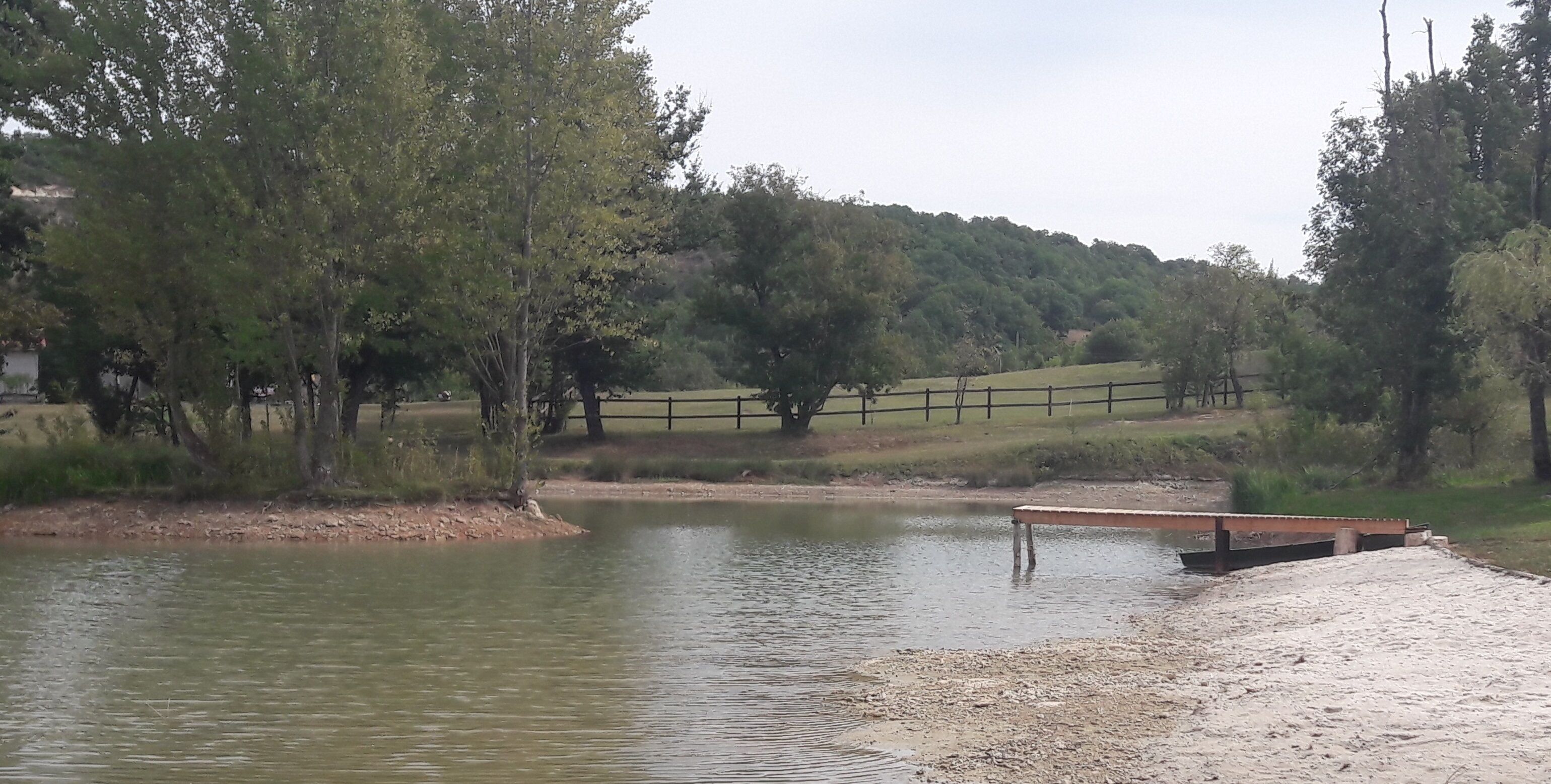 Una tranquilla veduta di un lago con un pontile di legno che si protende nell'acqua, circondato da una vegetazione lussureggiante e una collina in lontananza.