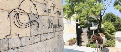 Terrain de lâhĂ©bergement