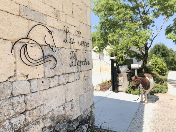 Mural de pedra com um cavalo e o texto