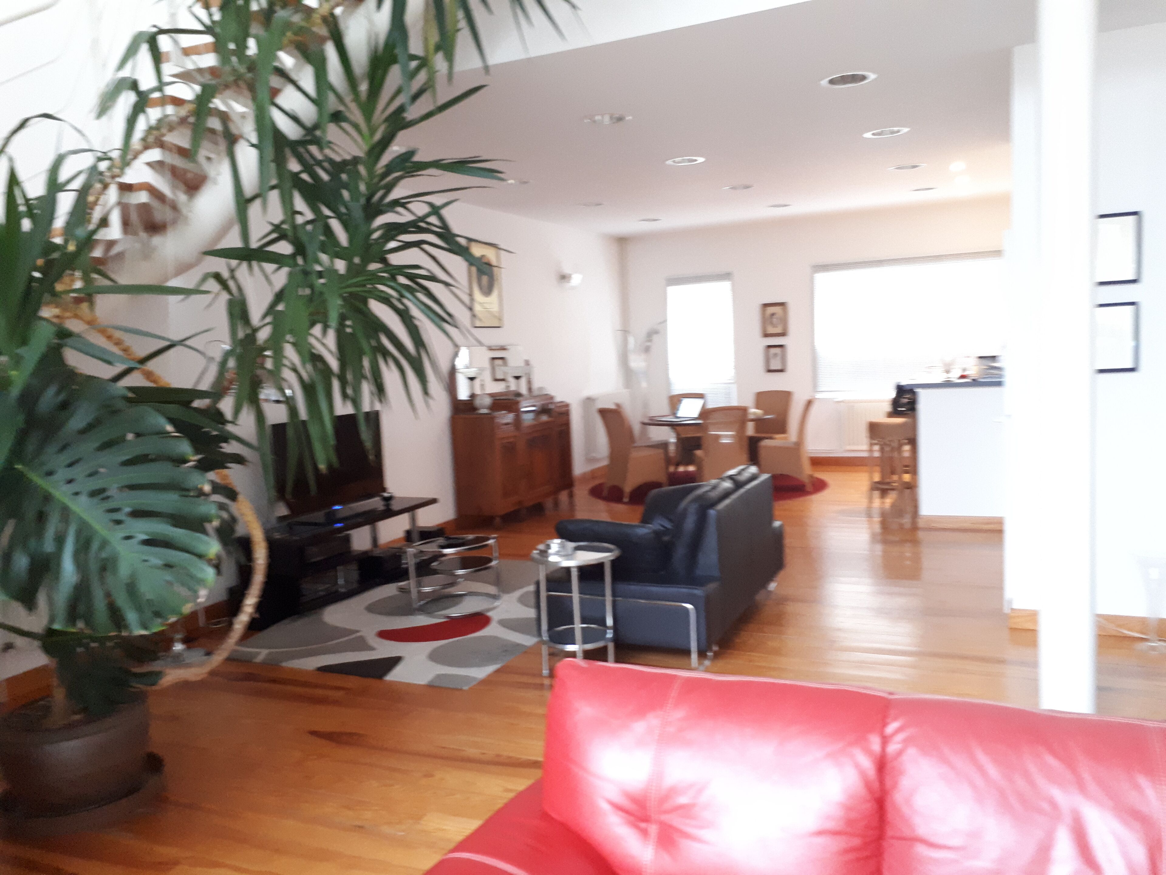 Entire loft with terraces in the city center