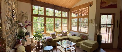 TV, caminetto, lettore DVD, tavolo da ping pong