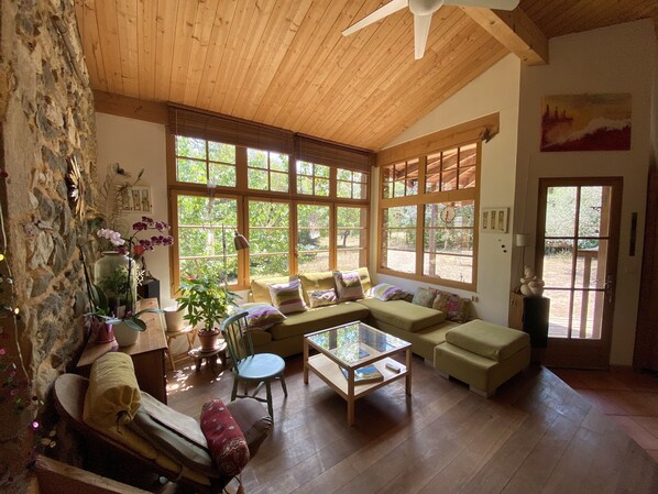 تلفزيون، مدفأة، مشغل دي في دي، تنس طاولة