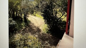 Vista de um jardim com árvores e um caminho.