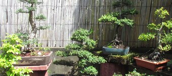 Den Kaz Melina til en "mellom hav og fjell,, et vindu på vulkan"