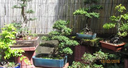 La kaz à Mélina 1 "Between sea and mountain ;, a window on the volcano"