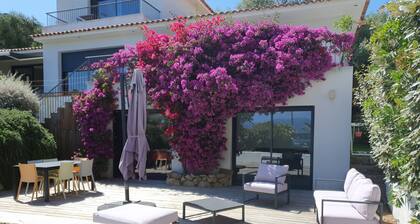 Erdgeschossvilla 4-6 Personen Porto-Pollo, mit Schwimmbad.