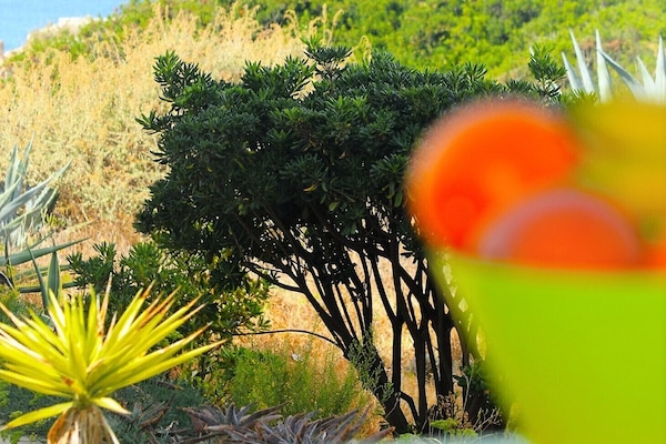 Vista desde la propiedad