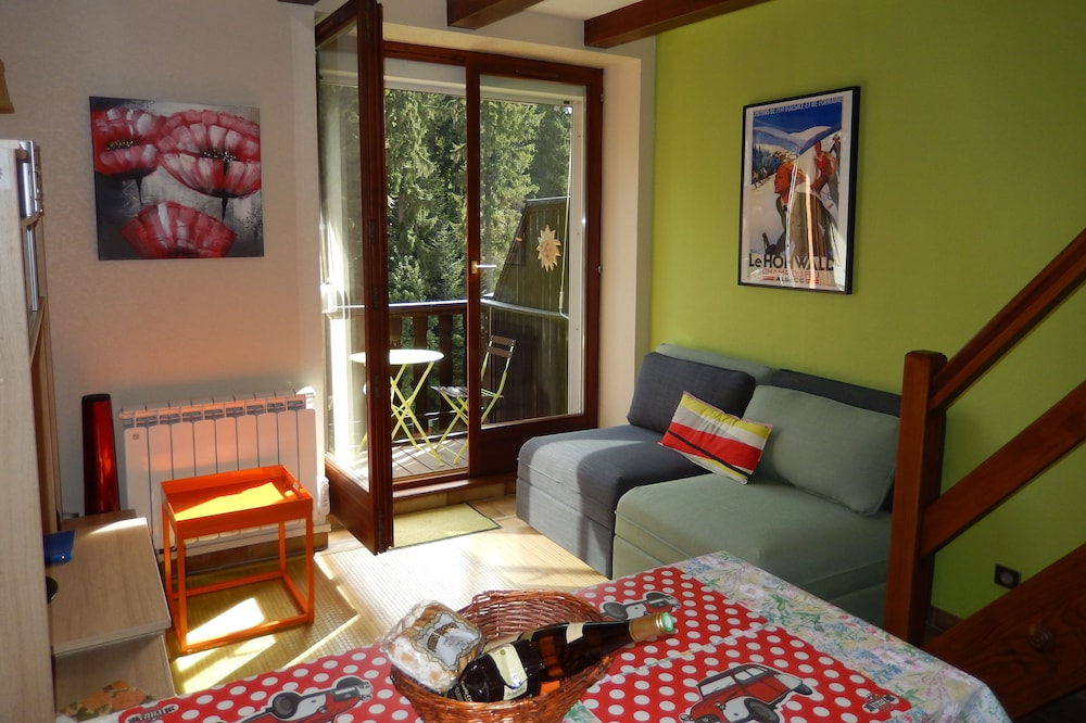 Center Alsace in the middle of the mountains LE HOHWALD apartment 3-4 people