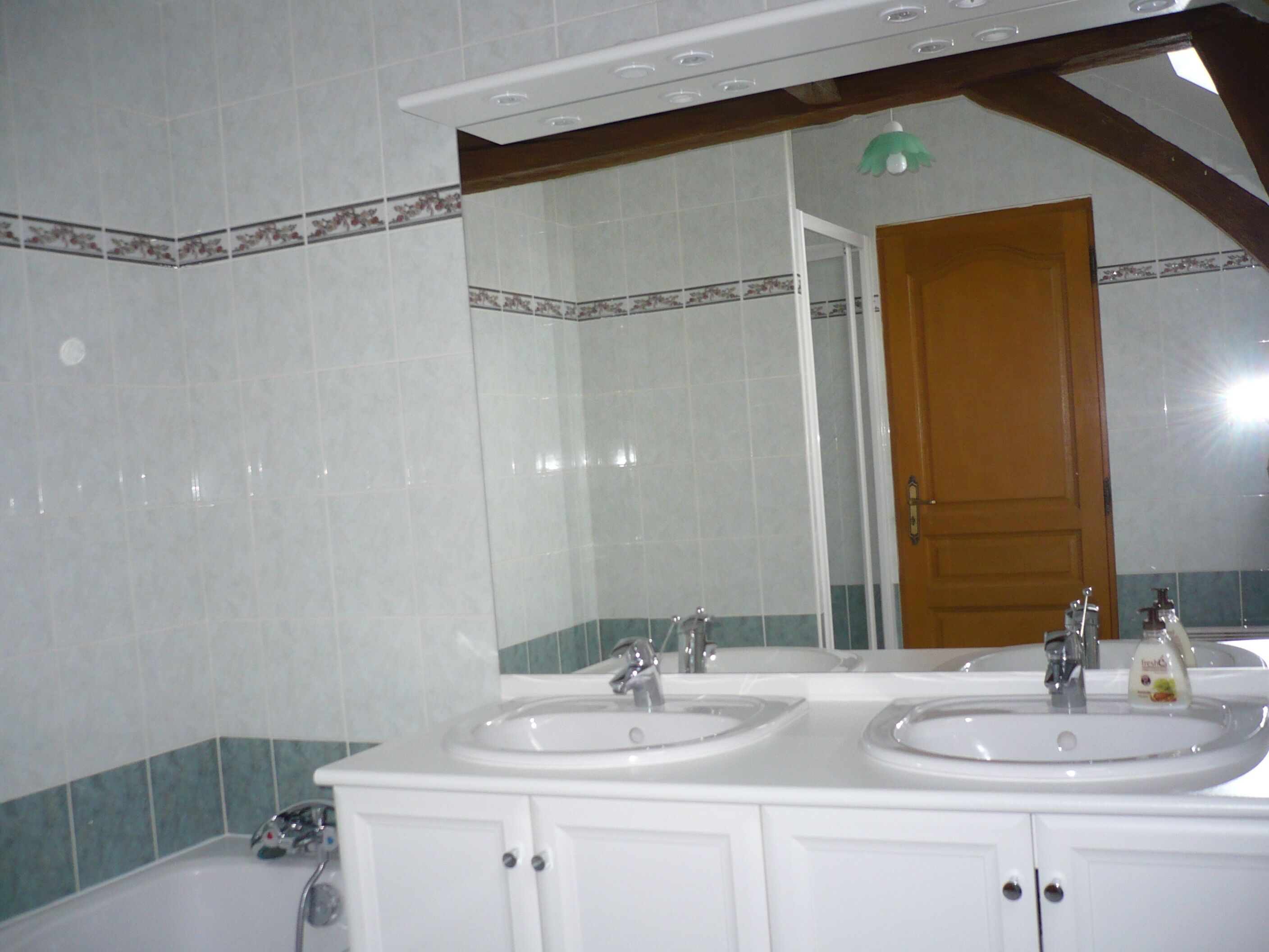 CLOSE TO THE MANS. CIRCUIT OF 24 HOURS, ZOO OF THE ARROW .SABLE, CASTLE OF THE LOIR