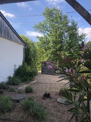 Property grounds - Cottage between Loire, vineyard and castles (Bourgueil)